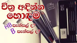 චිත්‍ර අදින පැන්සල තොරා  ගනිමූ  / Let's choose a drawing pencil / sinhala / agraat /