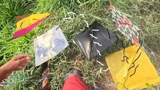 Chuva de Pipas Voadas no Morro, Fiquei na Chepa o Dia Todo!!! 🔥🪁