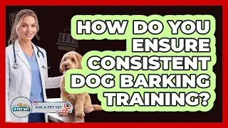 How Do You Ensure Consistent Dog Barking Training?
