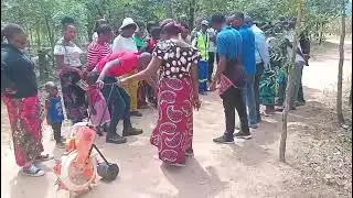 Hand Push Planter Demonstration