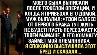 «Твой балбес тут жить не будет! Пусть переезжает к твоей мамаше, а его комнату займёт мой 