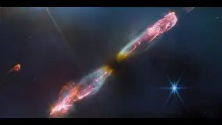 Celebrating a year of discovery