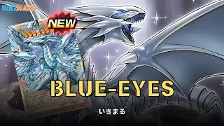 {EDOPRO} Blue-Eyes Refuses to Stay Dead | BLUE-EYES DECK | REPLAYS + DECKLIST | YU-GI-OH
