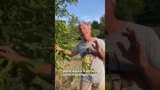 Le noci!🥜