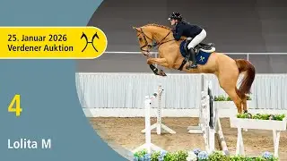 4 Lolita M by Lex Lugar - Witbooi | Verden Auction Online - Sporthorses & Youngster - January, 25