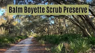 Balm Boyette Scrub Preserve
