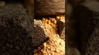 Soybeans are high in protein and used for oil and biodegradable plastics #asmr