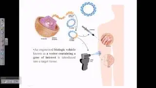 Gene delivery systems