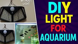 I Made a DIY Solar Light Stand for My Aquarium | Smart Sensor Lamp Hack