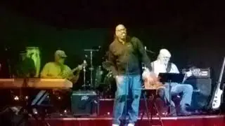 Greg Jordan What's Going On