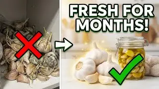 Preserve Garlic for Months &mdash; Genius Home Storage Secrets You NEED