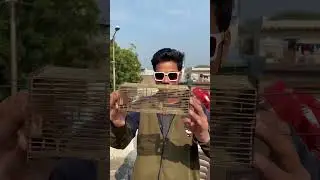 Hamster wheel #shorts #experimnent #jugaduindian
