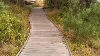 The trail from Nielson park beach to milk beach Sydney