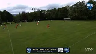 Newtown Forest Live Stream