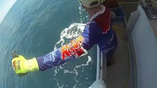 Swains Reef Trip