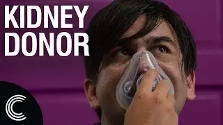 The Ultimate Kidney Donor