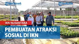 Target Agustus 2024 Akan Ada Pusat Kuliner dan Hospitality di IKN Nusantara