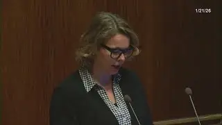 Child care providers speak to St. Paul City Council on ICE