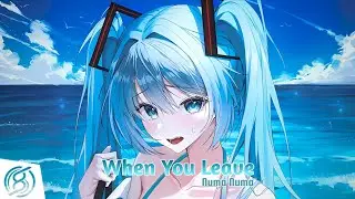 Nightcore - When You Leave (Numa Numa)