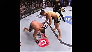 единиствины боес катори накаутировал нйта диаза #shorts #ufc #подпишись #nae