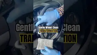 Satisfying Gentle Cleaning ASMR | DEEP Clean Steering Wheel