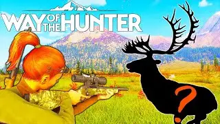 Where Are The Melanistic Caribou?? | Way of the Hunter