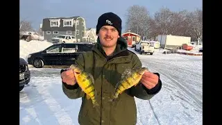 Lake Simcoe ice fishing ( Surprising catch! )