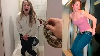 Best Scare Cam Pranks Reaction 2026 #193 🤯😅 Funny Scare Cam 🤣  Funny Prank Compilation