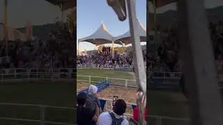 Pig Hurdling @ Alameda fairground