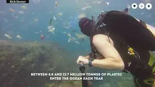 Ocean Plastic  | Awerness | WhatsApp Status