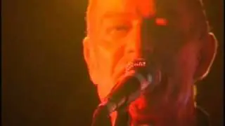 The Green Ray - All my Tears