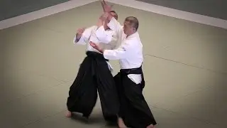 Aikido - Horii Etsuji Shihan - 53rd All Japan Aikido Demonstration (2015)