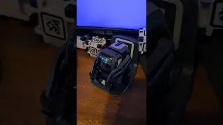 When Vector has no Wi-Fi!! #ai #robot #vector #shorts #viralvideo