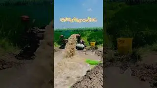 Farmer Drains Water Himself! Struggling to Save His Crop After Heavy Rain