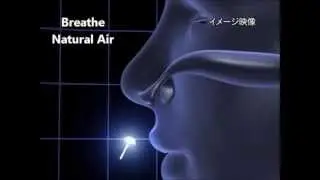 Nose Mask Pit Breathe Better - Pollen Hay fever Allergy - iOkidoki Vitality & Healthy Living