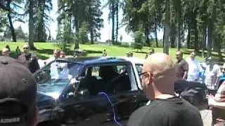 4 annual layitlow picnic at donnely park, turlock, ca 2010
