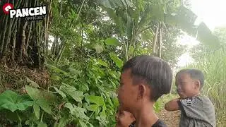 Peran 26 petualang 