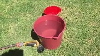 Conducting A Water Audit From Home