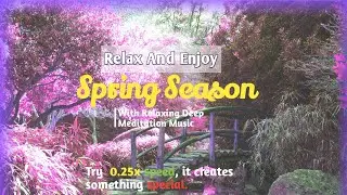 Spring Season|Nature Sounds Relaxing Music|Beauty Of Nature|Nature|Meditation Music