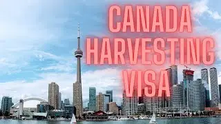 Canada Harvester Visa  - Canada Harvesting Jobs -  Canada Harvesting Labour -  Canada Vlog