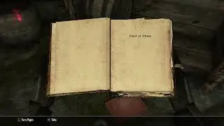 Skyrim_20210727200445
