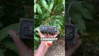பழைய இரும்பு கடை குட்டி Amplifier repair ..🔊🎶 #shorts #reels #amplifier #repair #restoration