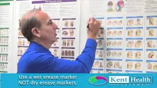 Trigger Point Charts - Color Coded Pain ZoneTips