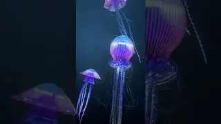 Jellyfish animation. #houdini #3d #karma #animation #motiongraphics #jellyfish