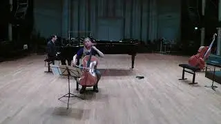 Lisa Strauss - Don Quixote - Strauss