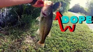 Bass DEVOUR Savage Gear 3D BLUEGILL