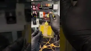 🫦 M. Micallef Ylang in Gold