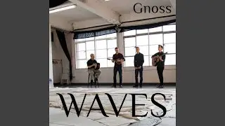 Waves