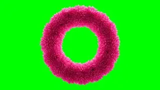 Flower Design Frame Green Screen _ Pink Flower _ Flower Frame _ Frame Green Screen 