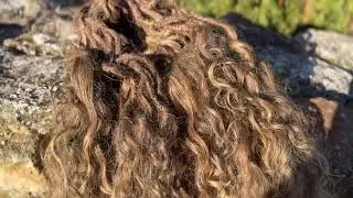 Lockiga syntet dreadlocks